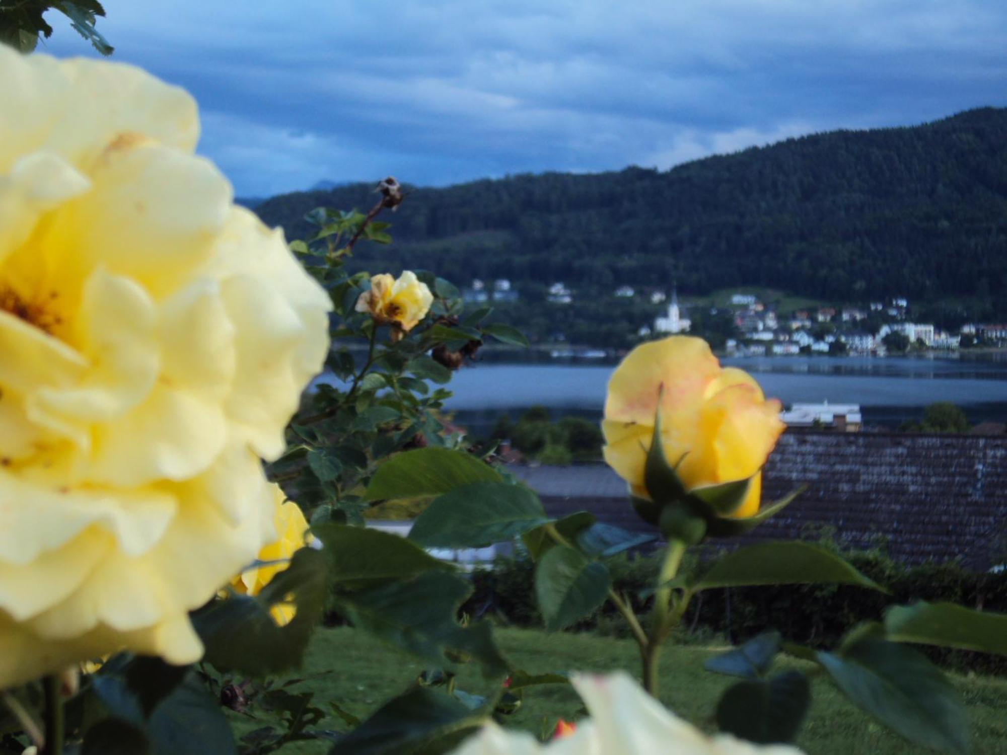 St. Oswalderhof Bed & Breakfast Pörtschach am Wörthersee Dış mekan fotoğraf