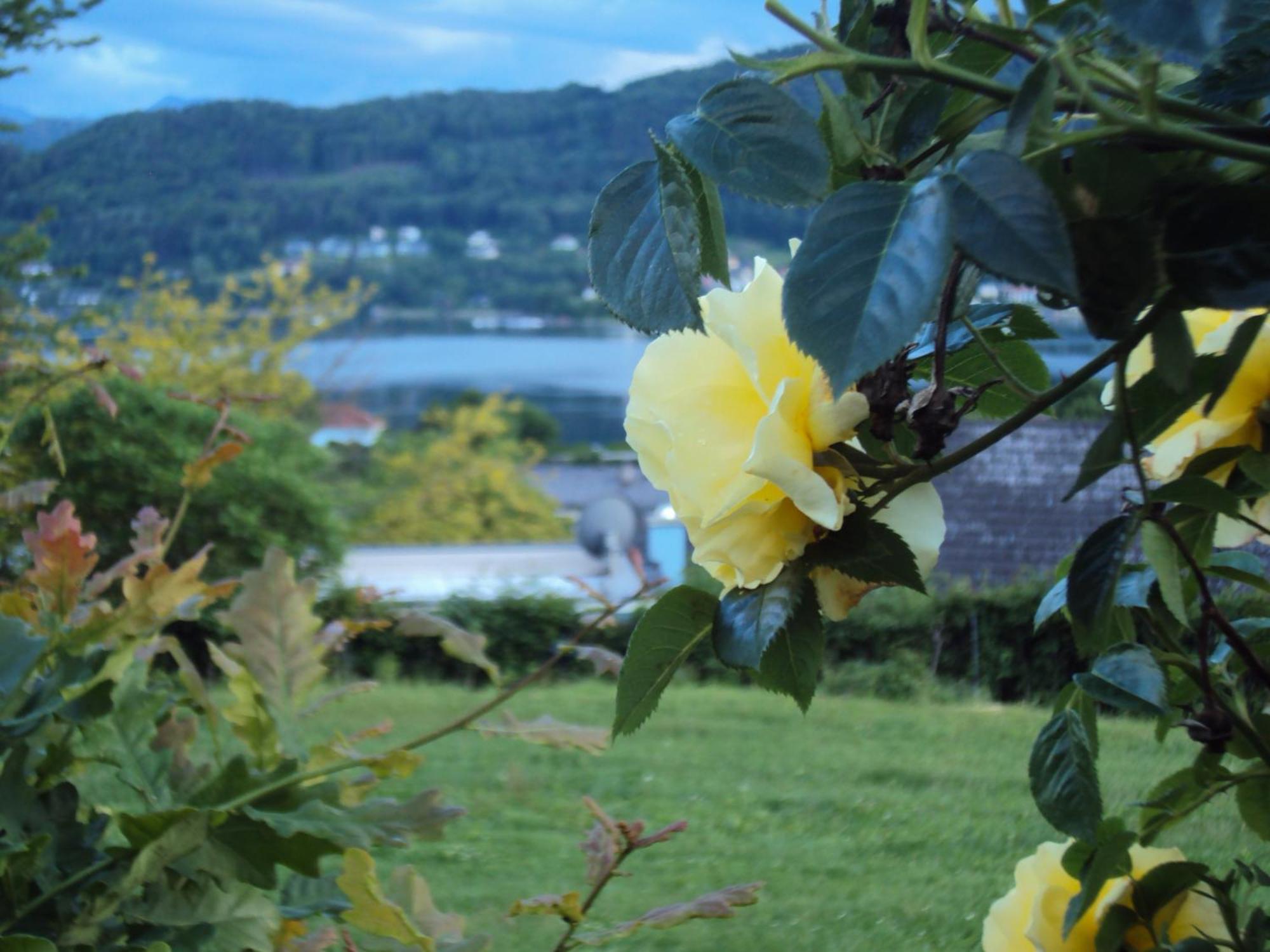 St. Oswalderhof Bed & Breakfast Pörtschach am Wörthersee Dış mekan fotoğraf