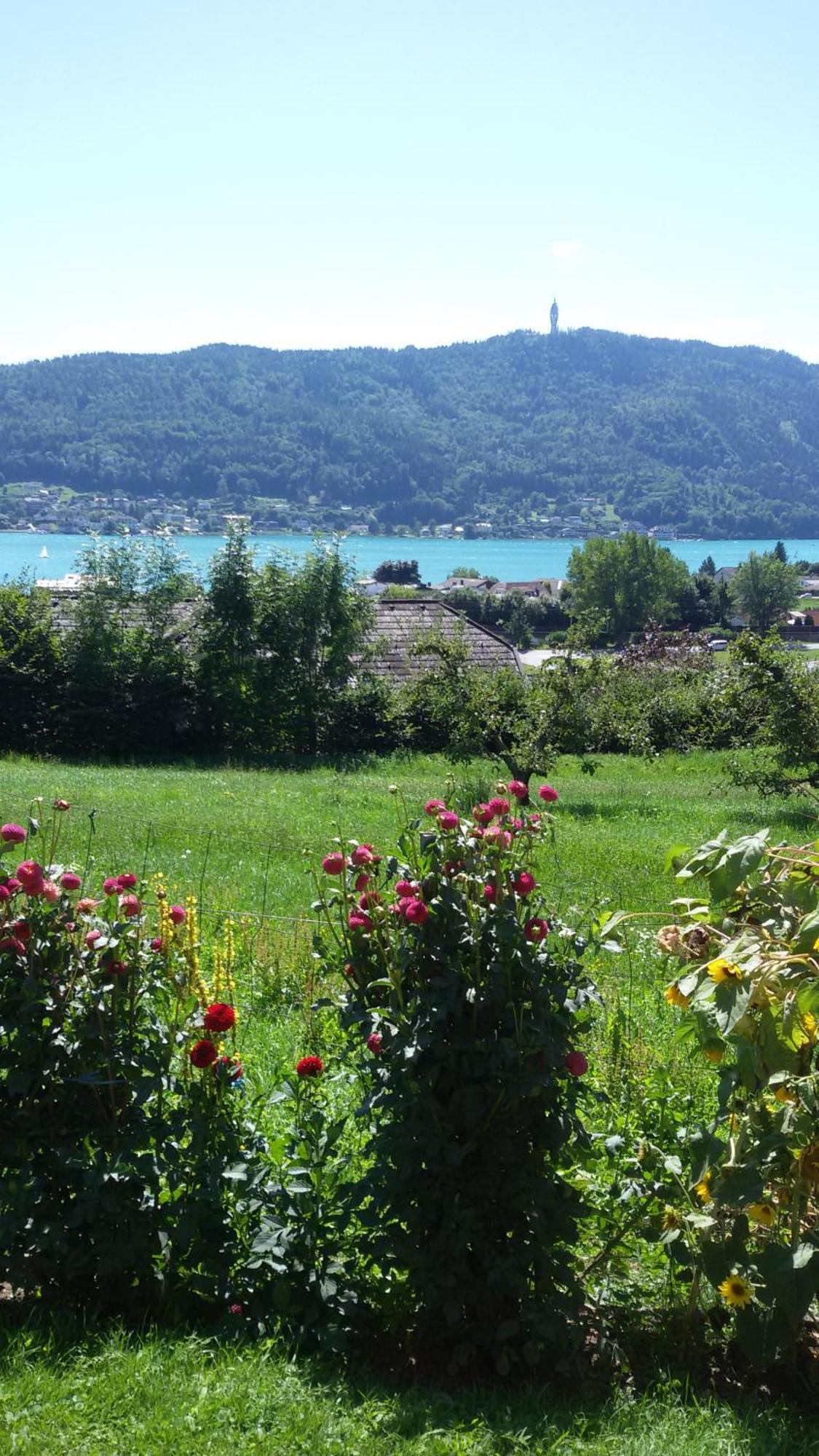 St. Oswalderhof Bed & Breakfast Pörtschach am Wörthersee Dış mekan fotoğraf