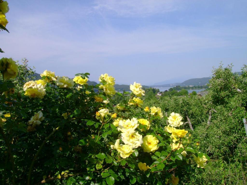St. Oswalderhof Bed & Breakfast Pörtschach am Wörthersee Dış mekan fotoğraf